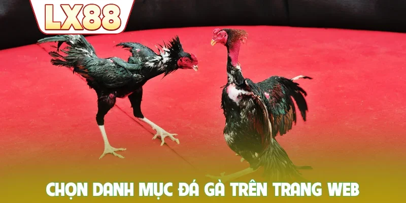 Chọn danh mục đá gà trên trang web