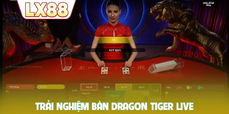 Trải nghiệm bàn dragon tiger live